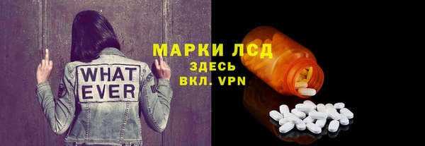 прущие грибы Куйбышев