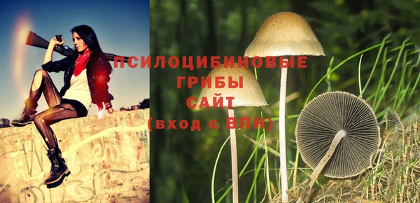 герыч Алапаевск