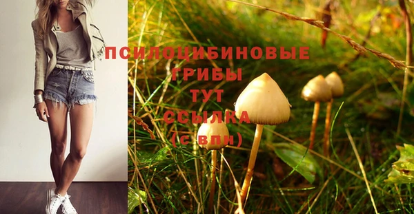 MESCALINE Кулебаки