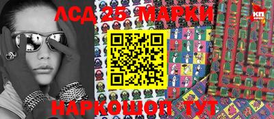 шишки Тверь