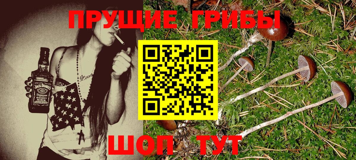 Галлюциногенные грибы Psilocybine cubensis  продажа наркотиков  Красноуфимск 