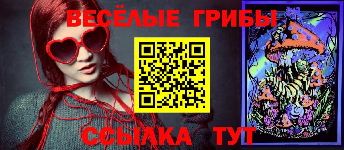 Красноуфимск  Галлюциногенные грибы Cubensis  Вход с VPN 