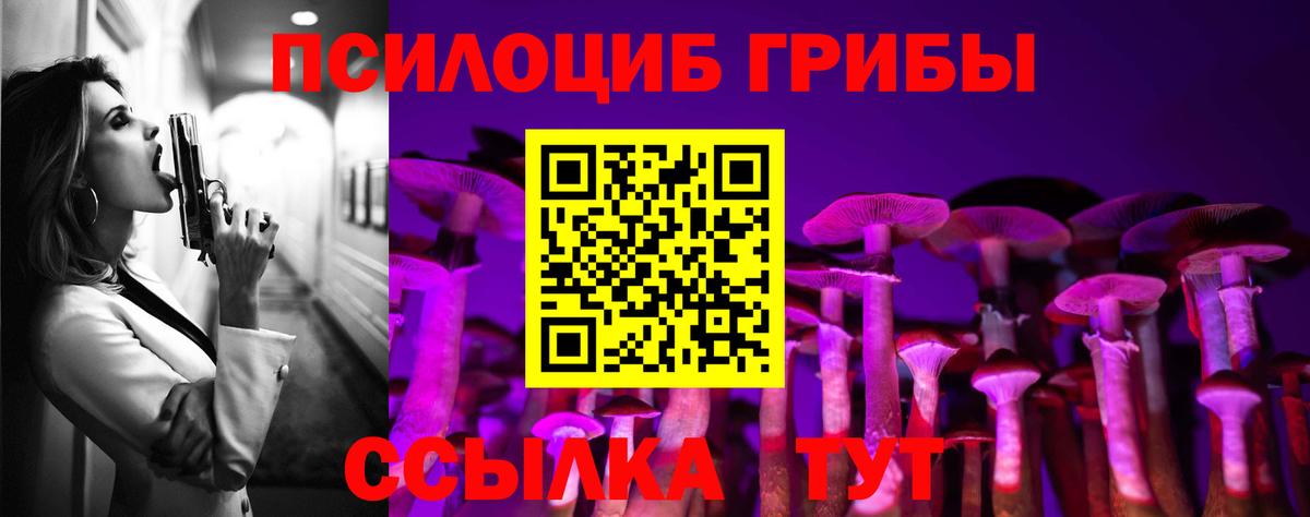 Псилоцибиновые грибы Cubensis Красноуфимск